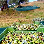 Farm stay Trappeto Vecchio San Demetrio Corone