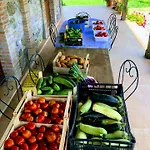 Farm stay Trappeto Vecchio San Demetrio Corone