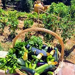 Trappeto Vecchio Farm stay San Demetrio Corone