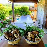 Trappeto Vecchio Farm stay San Demetrio Corone