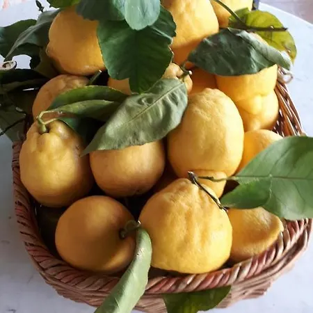 Trappeto Vecchio Lantgård San Demetrio Corone