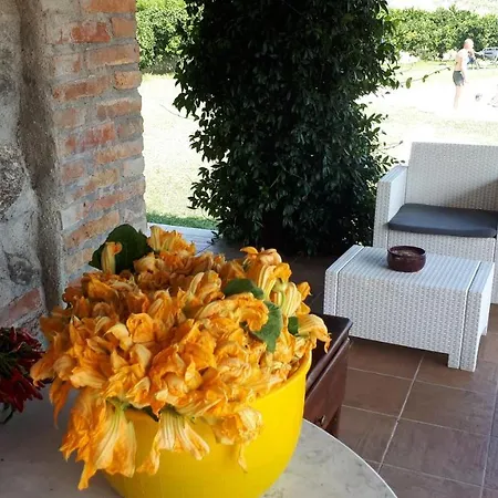 Trappeto Vecchio San Demetrio Corone