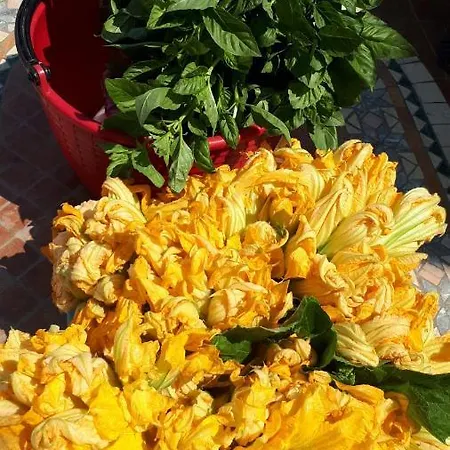 Lantgård Trappeto Vecchio San Demetrio Corone