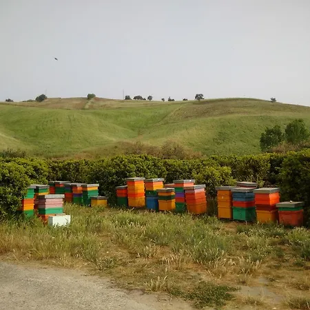 Lantgård Trappeto Vecchio