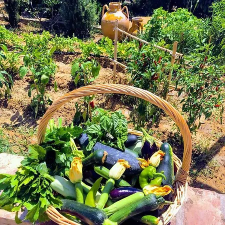 Trappeto Vecchio Lantgård San Demetrio Corone