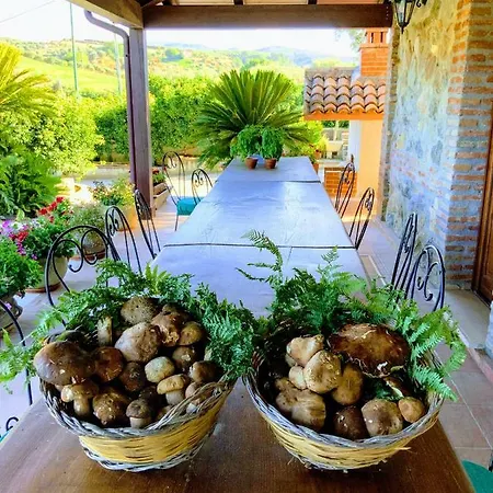 Trappeto Vecchio Lantgård San Demetrio Corone