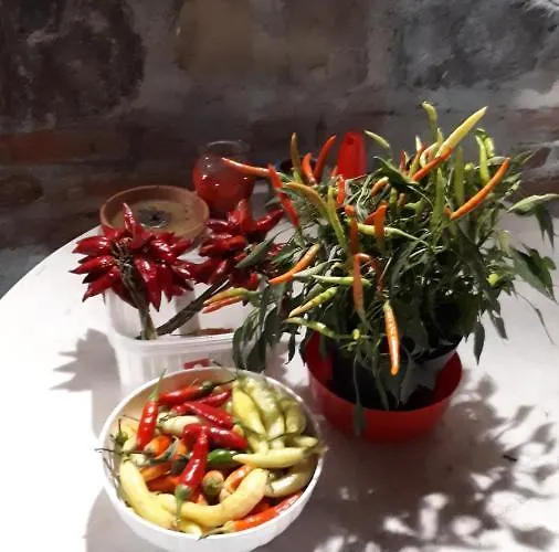 ファームステイ Trappeto Vecchio *