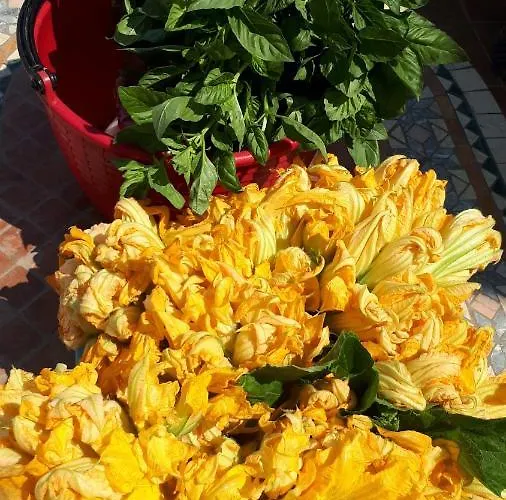 ファームステイ Trappeto Vecchio San Demetrio Corone