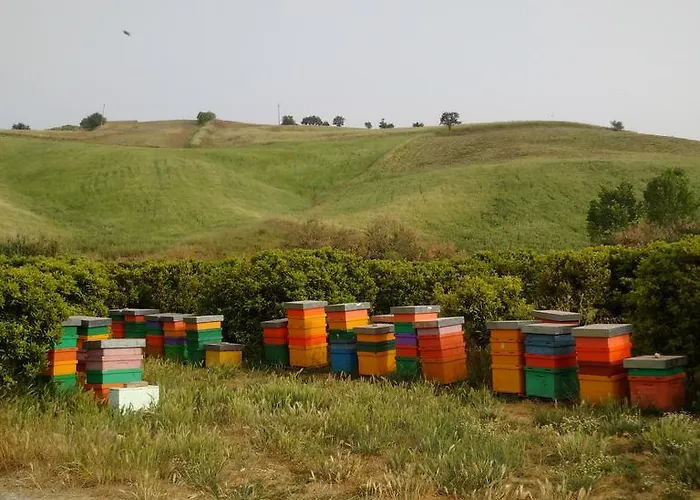 ファームステイ Trappeto Vecchio