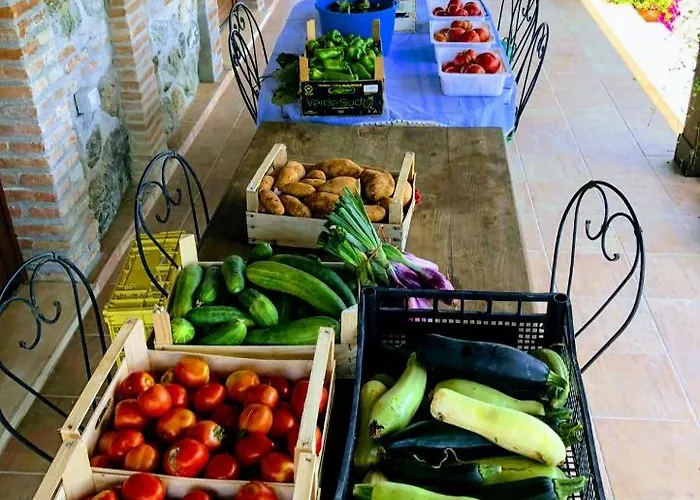 ファームステイ Trappeto Vecchio San Demetrio Corone