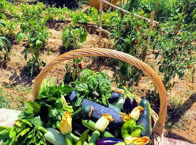 Trappeto Vecchio ファームステイ San Demetrio Corone