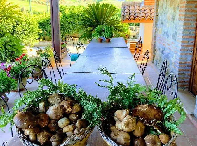 Trappeto Vecchio ファームステイ San Demetrio Corone